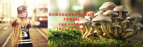 МДМА Богородск