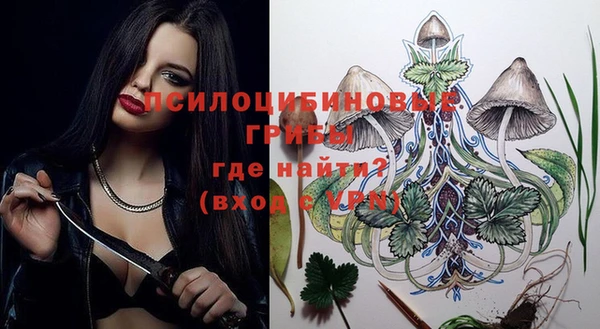 марки lsd Богданович