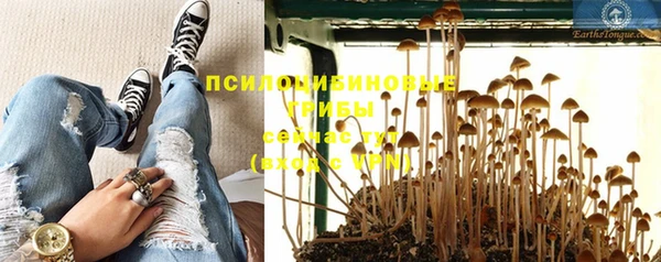 круглые Богородицк