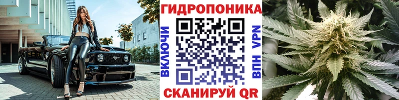 как найти   Малая Вишера  Каннабис White Widow 
